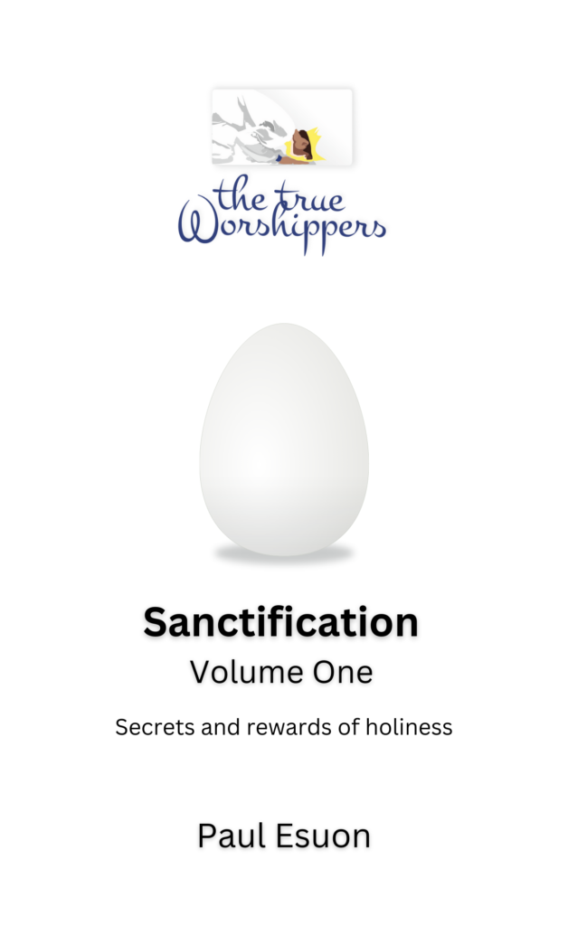 Sanctification Volume One (Paperback)